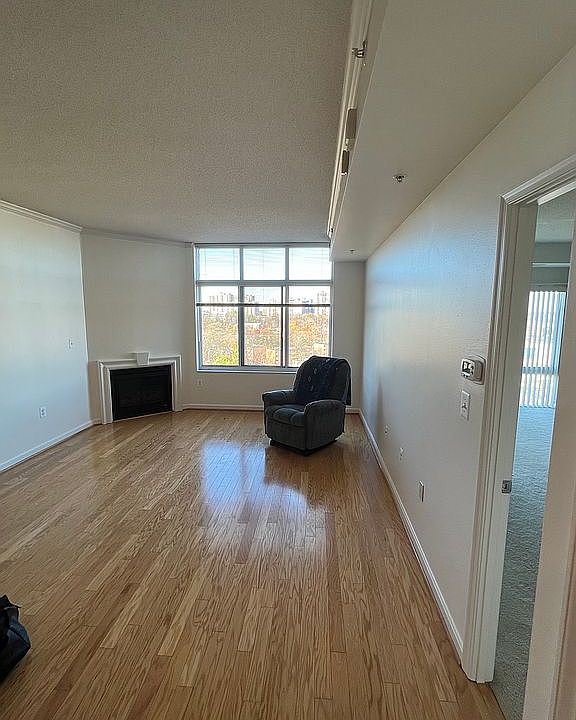 1st image of 3101 N Hampton Dr APT 1505