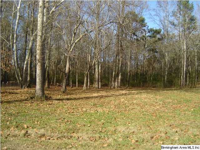 2nd image of Wyatt Rd