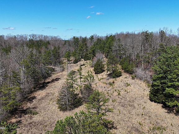 3rd image of 130 Ned Ridge Rd