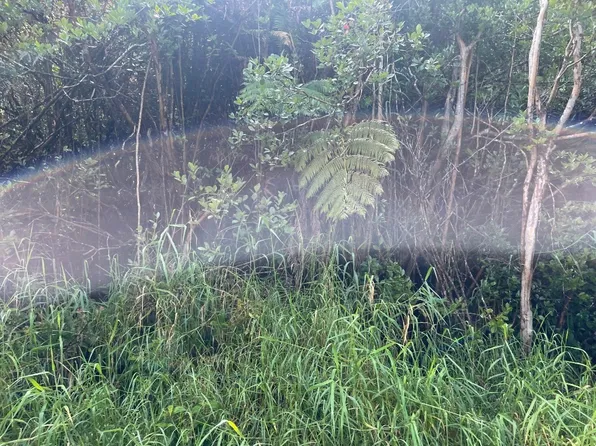 Road 4 Lot 179, Volcano, HI 96785