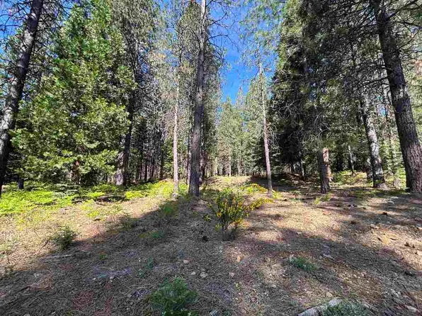 LOT 10 Old Mill Dr, McCloud, CA 96057