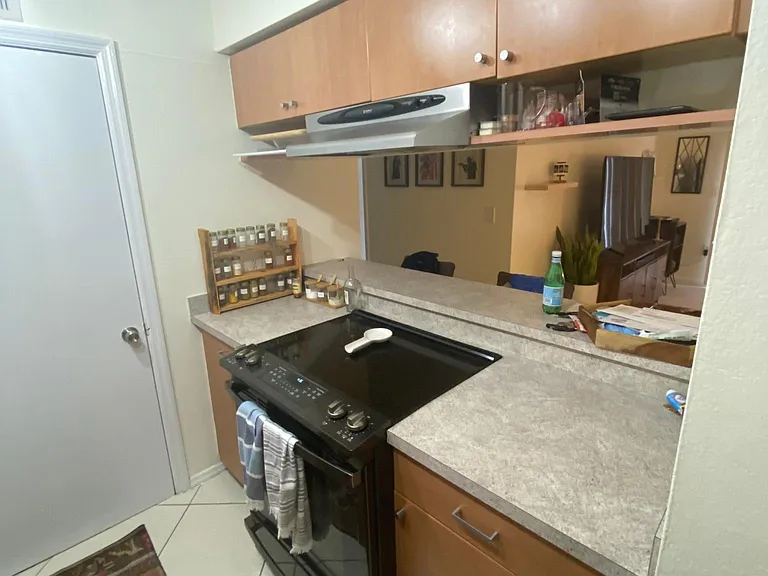 Brand New Induction Range