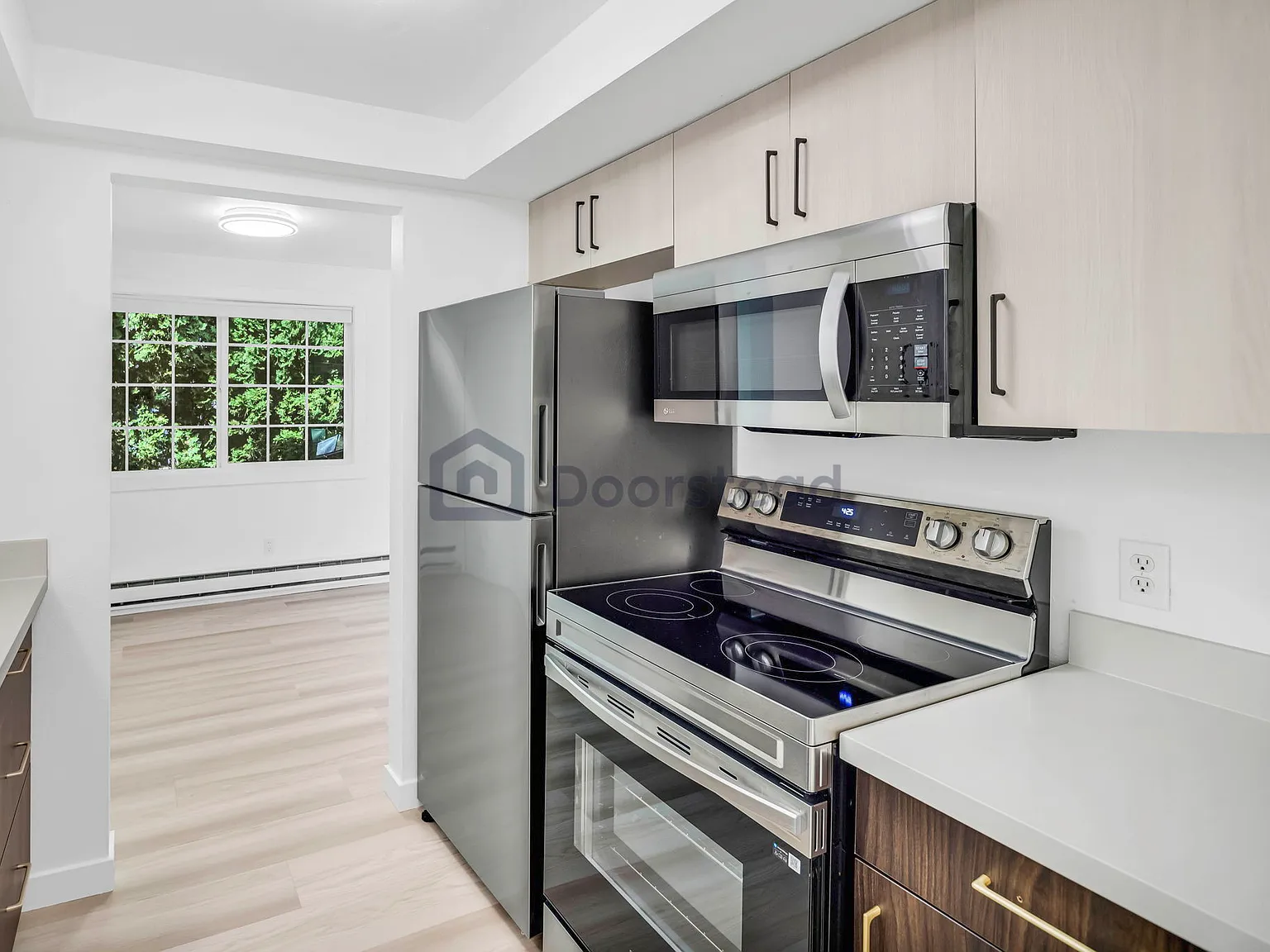 2 bed, 1.0 bath, 1000 sqft, $1,950 — Photo 3