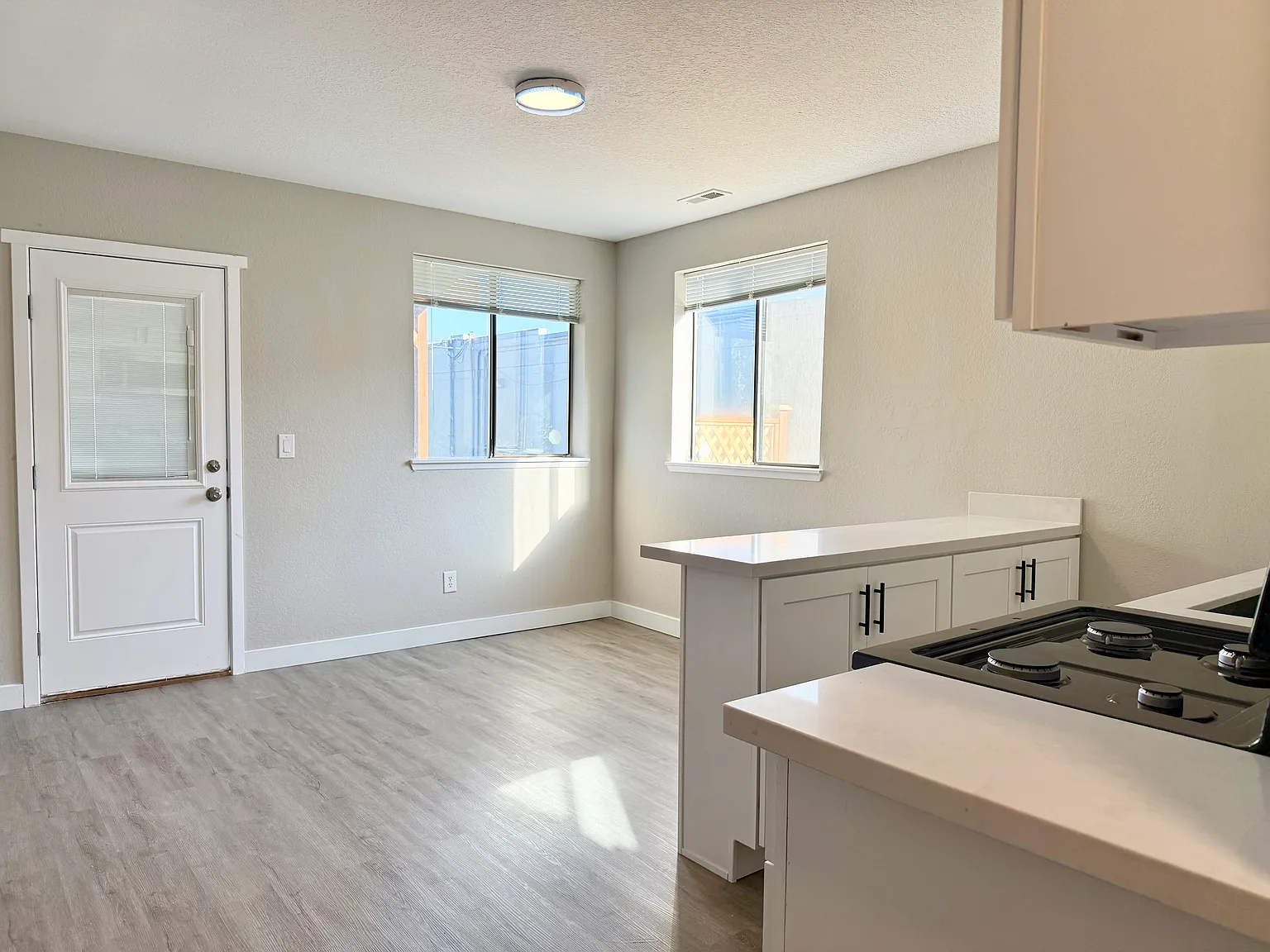 4 bed, 1200 sqft, $3,100 — Photo 4