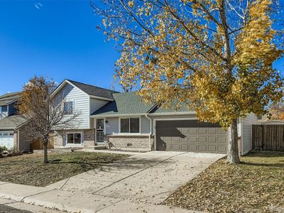 9885 Madison Street, Thornton, CO, 80229