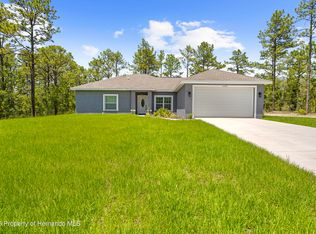 11345 Thrasher Ave, Weeki Wachee, FL 34614