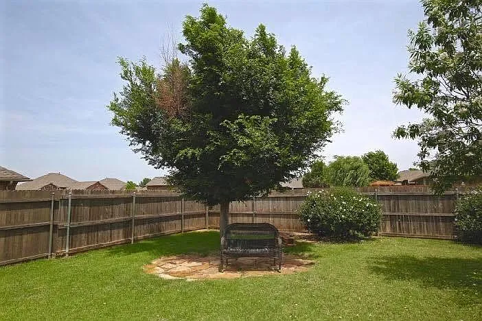 Fenced Backyard