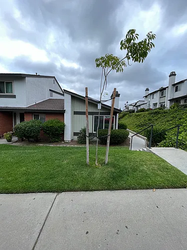 809 Beyer Way Photo 1