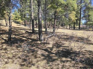 110 Woodridge Circle, Pagosa Springs, CO 81147