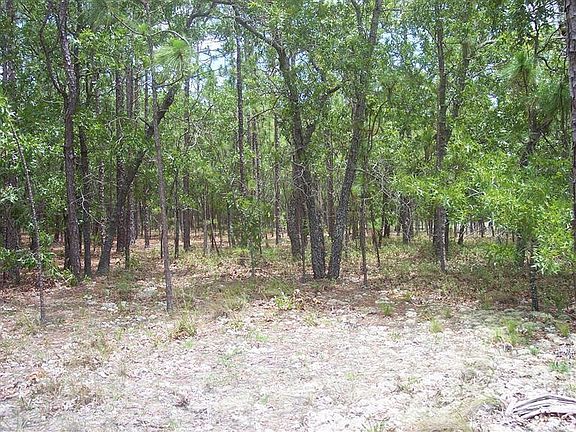 5th image of 1065 Fillmore Road LOT 19