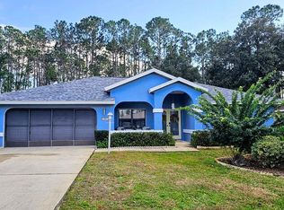 49 Wellshire Ln, Palm Coast, FL 32164