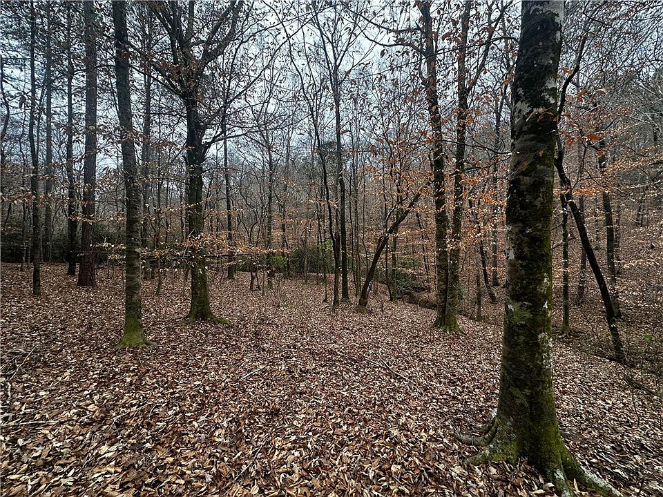 1st image of 0 Lee Road 367