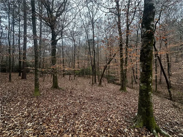 0 Lee Road 367, Valley, AL 36854