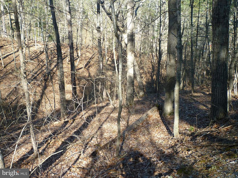 2nd image of 312 Breckinridge Rd