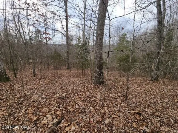 Whitetail Ln, La Follette, TN 37766