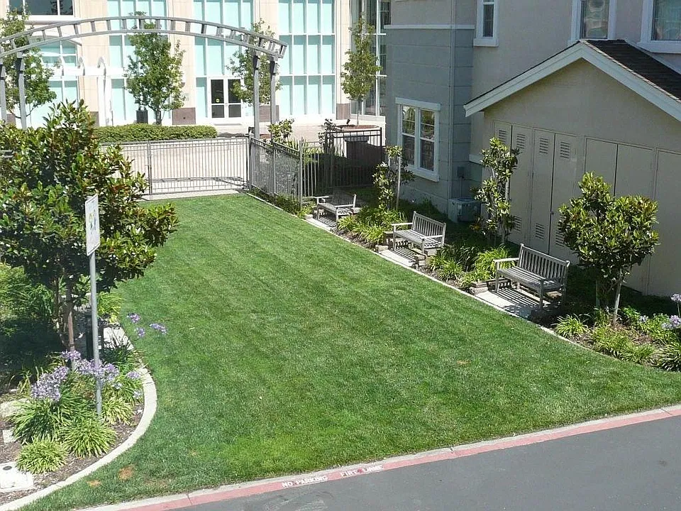 View from two other rooms