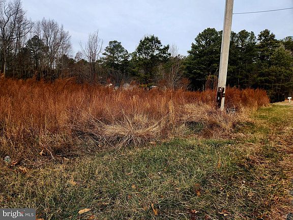 2nd image of 22092 Royal Oak Rd