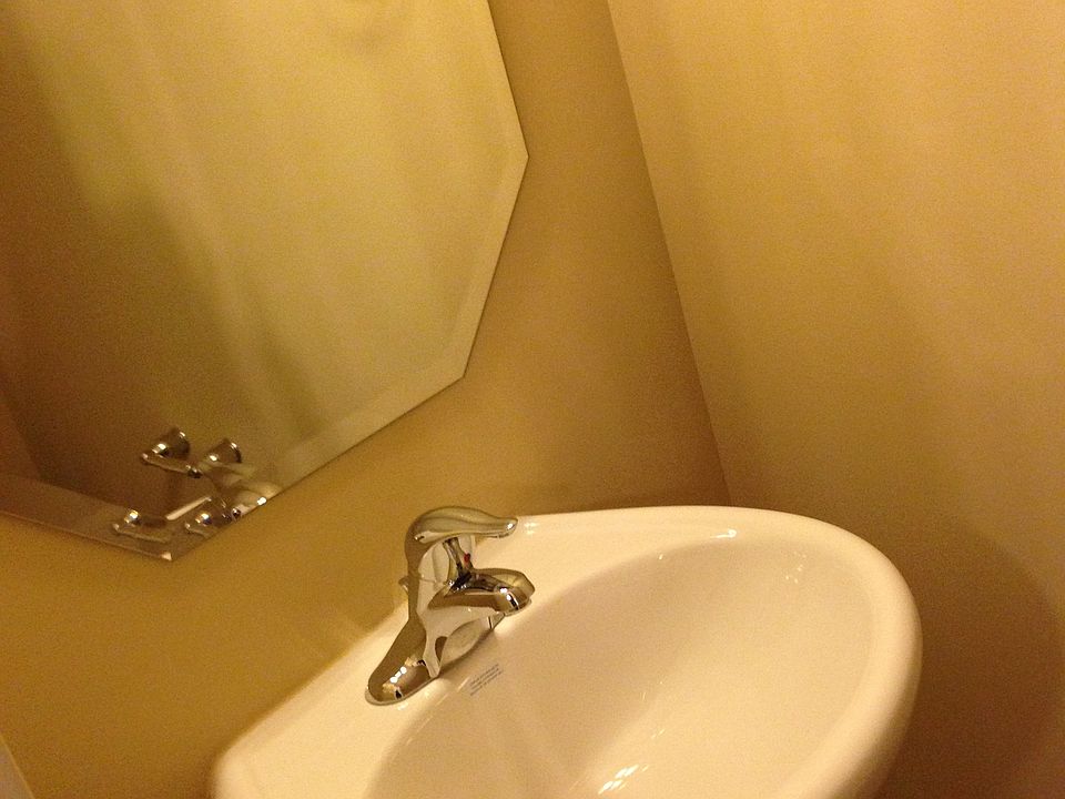 downstairs half bathroom sink