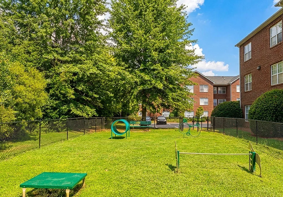 Pet-Friendly Perks at Morgan Ridge Apartments