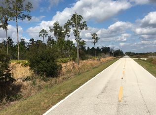 Singletary Rd, Fort meade, FL 33841