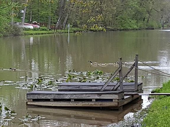 5th image of 106 Creek View Ln