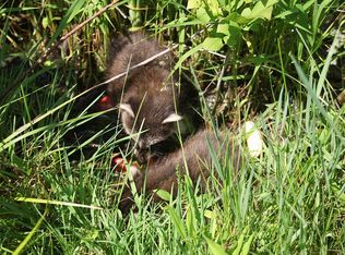 1934 Johnson Creek Rd, Barker, NY 14012