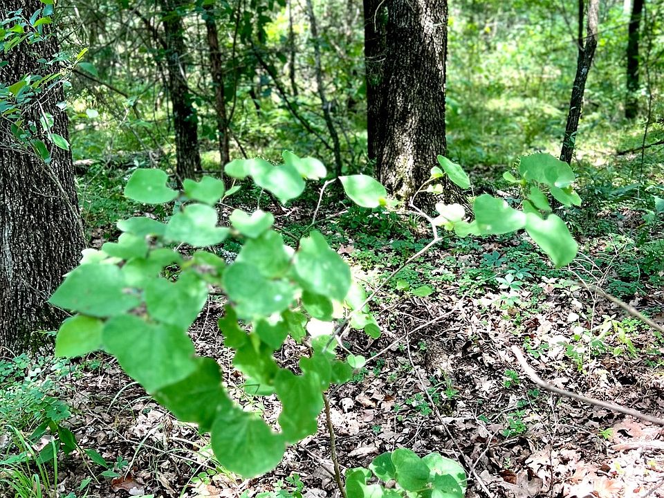 1st image of 141 Deerfield Rd Lot 69
