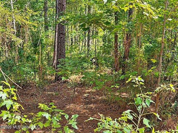 5th image of 12 Bud Elliot Subdivision