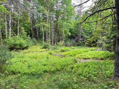 77 Berkshire Road, Lisbon, NH, 03585