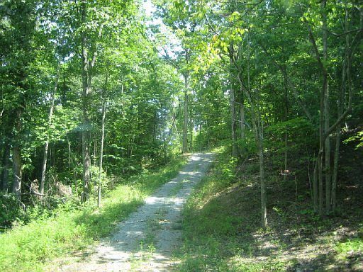 2nd image of County Road 181