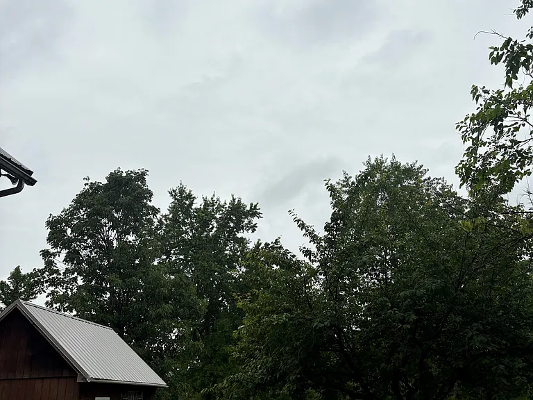 7109 Old Easton Rd — Photo 17