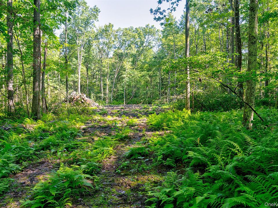 1st image of Lot 22 Perry Pond Road