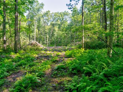 Lot 22 Perry Pond Road, Narrowsburg, NY, 12764