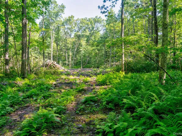 Lot 22 Perry Pond Road, Narrowsburg, NY 12764