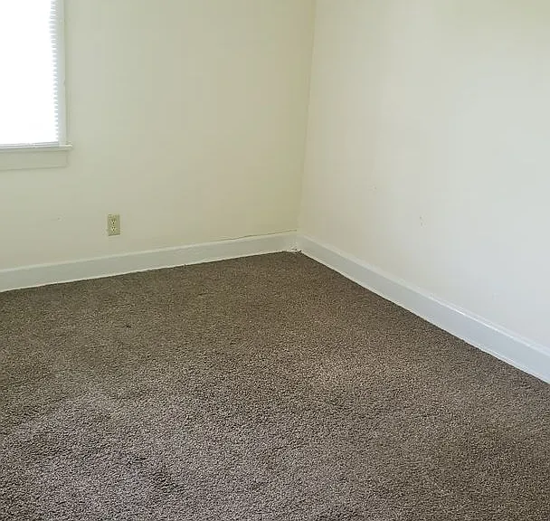 807 Ward St — Photo 13