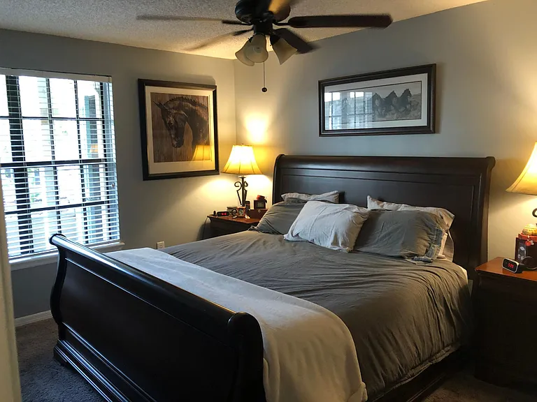 1000 W Horatio St #126 — Photo 4