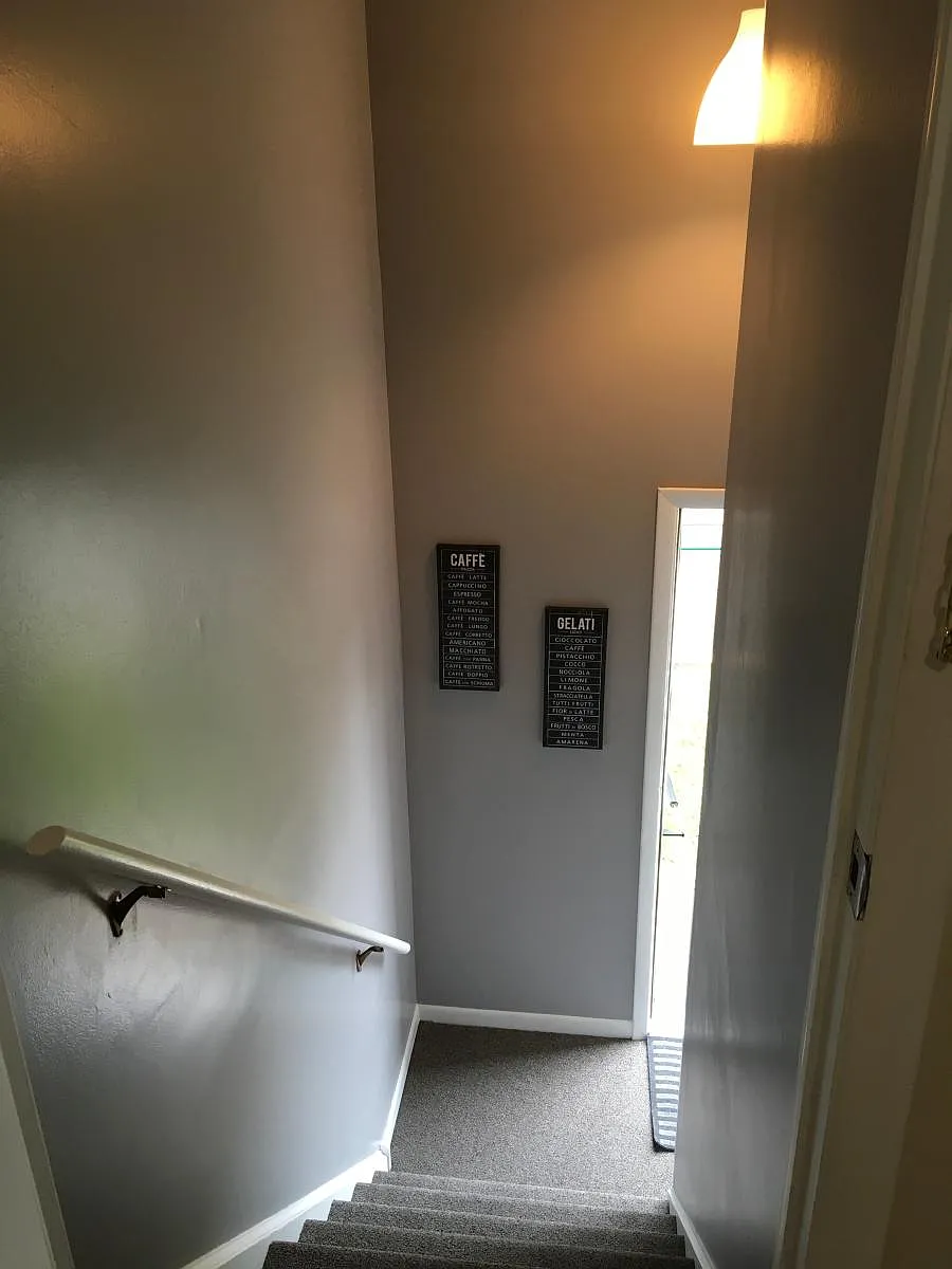 Back Door stairs - 350 Prairie Ave
