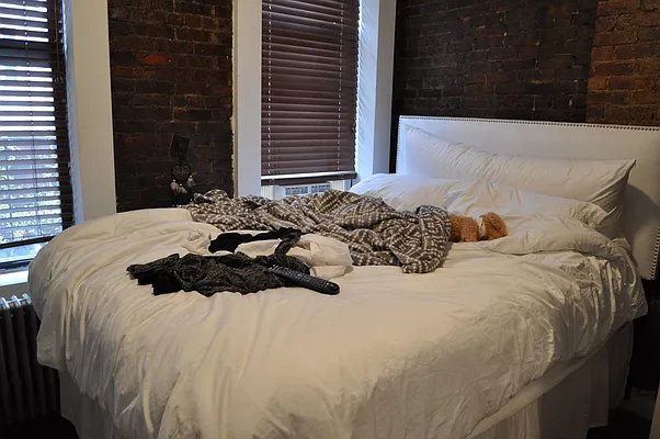 Rented by Sky Management | media 23