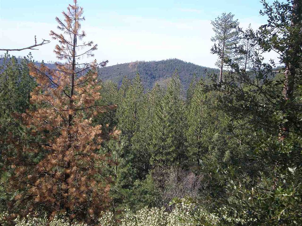 1st image of 2N11 Nf Sec 18