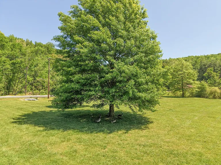 214 Old Hickory Blvd #135 — Photo 41