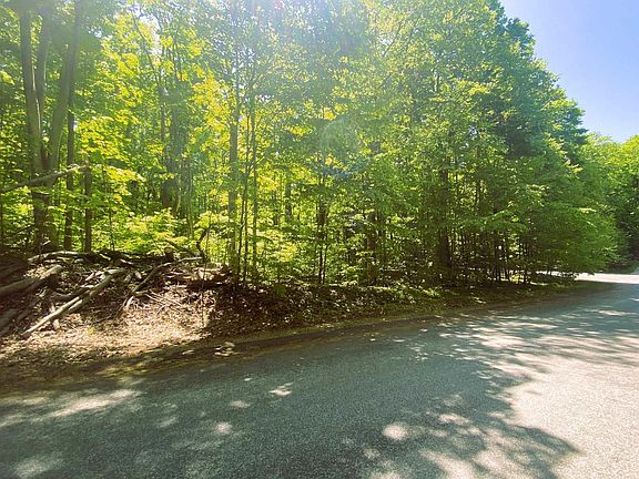 4th image of LOT 229&230 E Edelweiss Dr