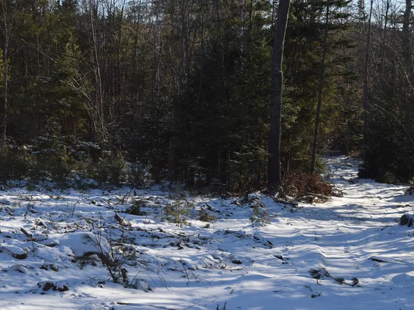 Lot 1 Nutting Road, Sunapee, NH 03782