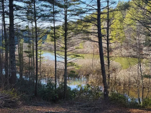 46 Trillium Heights Ct, Hayesville, NC 28904