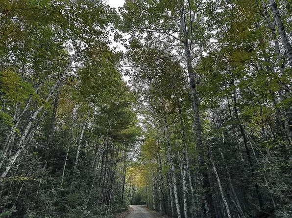 LOT 11 Carry Ridge Rd, Machias, ME 04654