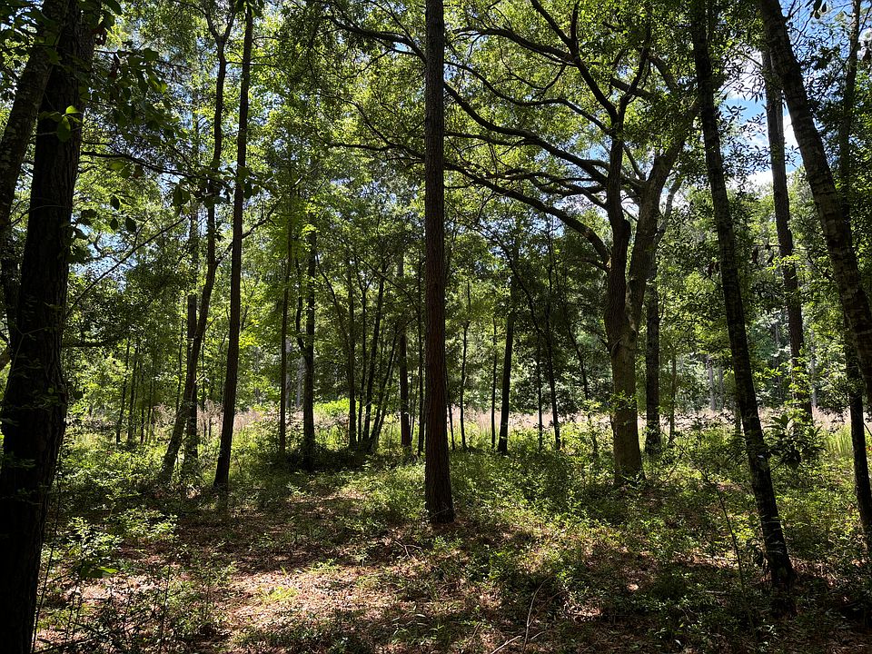2nd image of O'Seewee Rd