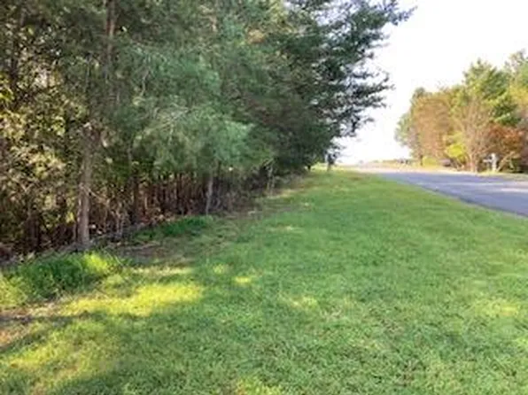 Lt25 Birchwood Dr, Ellijay, GA 30540