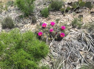 26 Hermans Peak Rd #2675, Terlingua, TX 79852