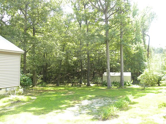 view of backyard