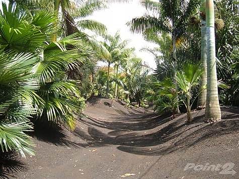 Road from gate into property