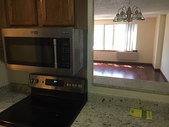 4th image of 801 S Plymouth Ct APT 206